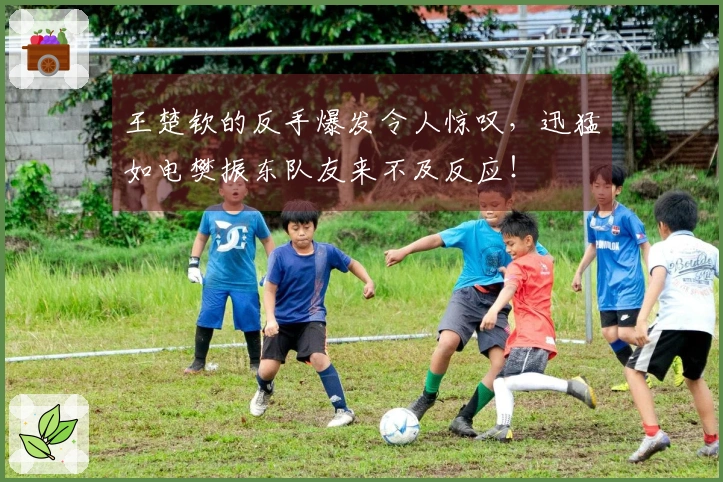 王楚钦的反手爆发令人惊叹，迅猛如电樊振东队友来不及反应！