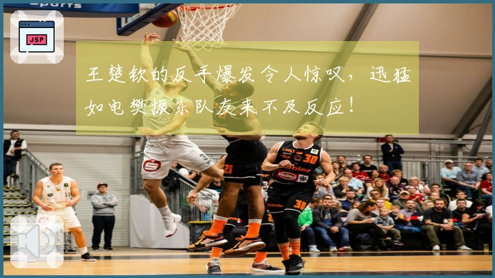 王楚钦的反手爆发令人惊叹，迅猛如电樊振东队友来不及反应！